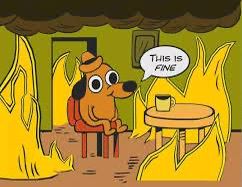 This is fine dog meme